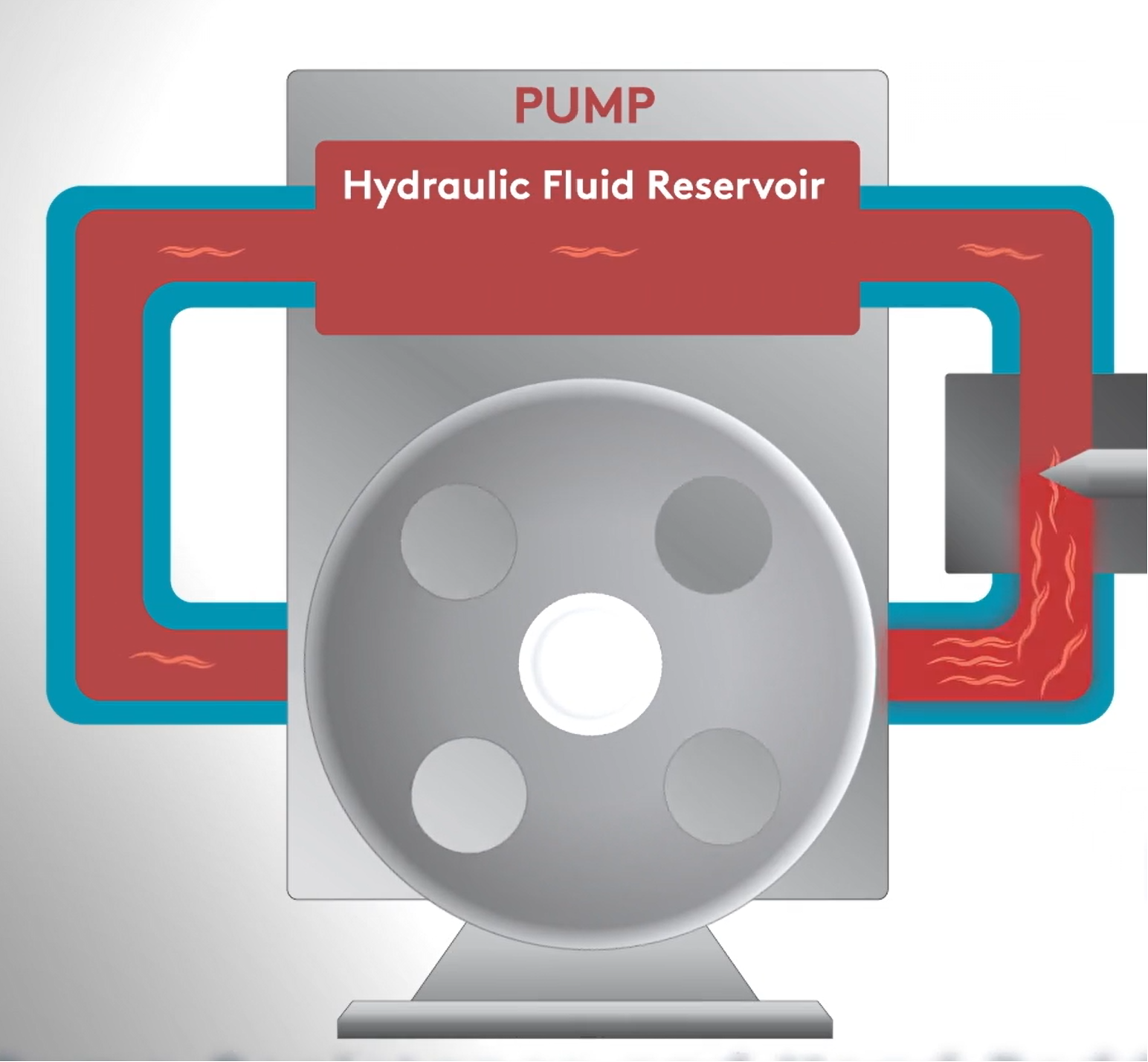 Authentic Swimming Experience